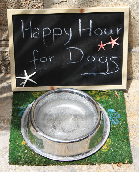 hundebistro
